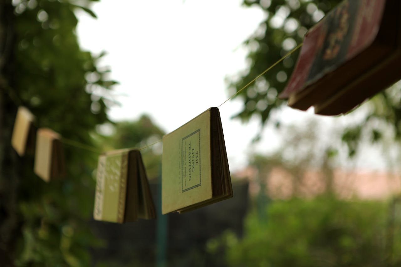 Books hanging on a line outdoors with blurred natural background and bokeh effect.
